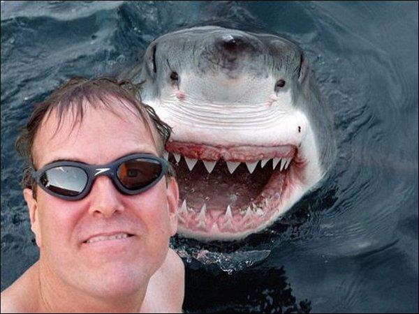 selfie-tiburon